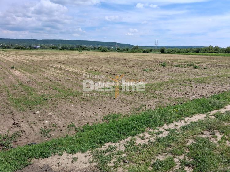 Teren Extravilan de Vânzare – Mărăcineni, Sat Argeșelu - 4