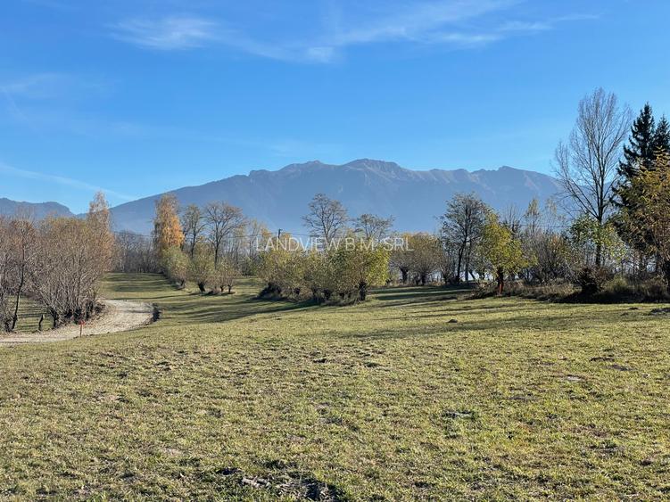 Teren intravilan zona Zarnesti-Tohanita cu priveliste - 2