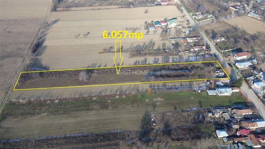 Teren 6.057 mp in Radulesti cu deschidere 30 metri la asfalt - 4