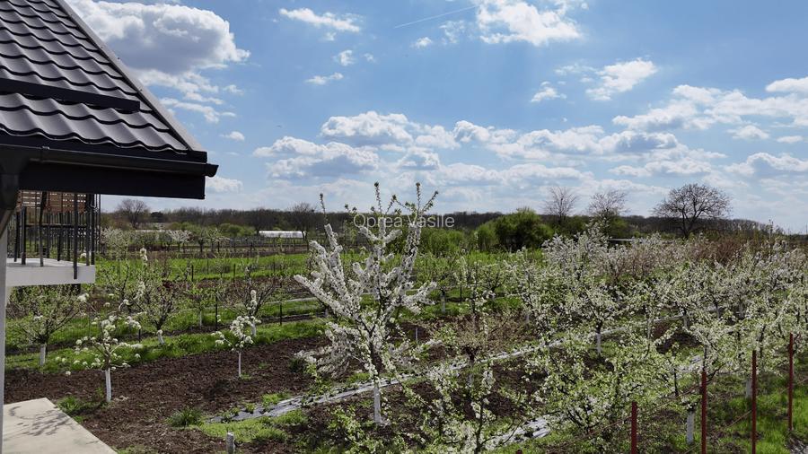 De vanzare Casa din Livada - Moara Vlasiei - 12