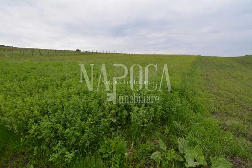 Teren extravilan pentru constructii de vanzare in Popesti - 3