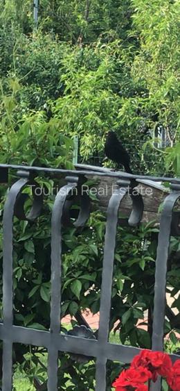 Casa superba Parcul Subarini - 38