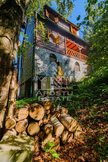 Pensiune, casa de vacanta, 6 camere, statiunea Rausor din Hunedoara - 10