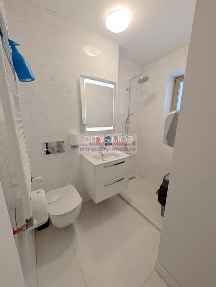 Inchiriere Vila noua Individuala Domenii / Mihalache - 18