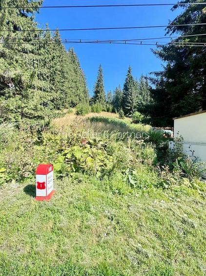 Teren Intravilan Predeal - Acces direct DN - Priveliste deosebita - 36