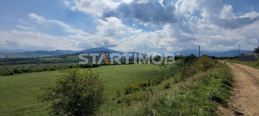 Teren Intravilan Tarlugeni - 7