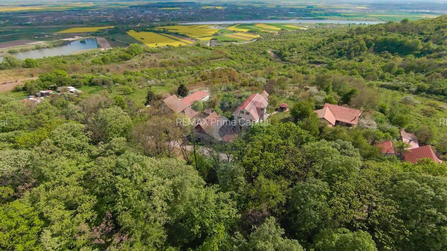 De vânzare casă și teren 1.425 mp - Podgoria - 14