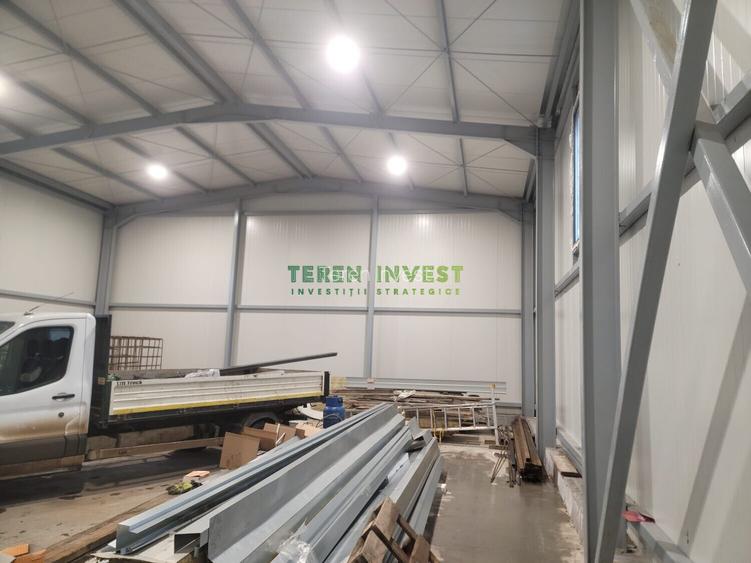 Hala depozitare -  Drumul Între Tarlale - 10