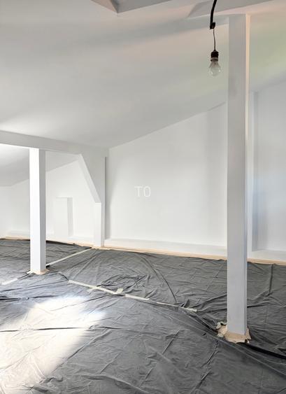 VILA INTERBELICA IN CURS DE RENOVARE COMPUSA DIN DOUA APARTAMENTE - PARCUL CAROL - 14