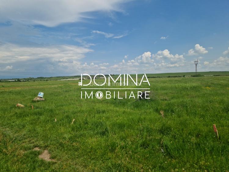 Vânzare teren extravilan, suprafață 7.000 mp, situat în Tg Jiu, str. Ciocârlau - 6