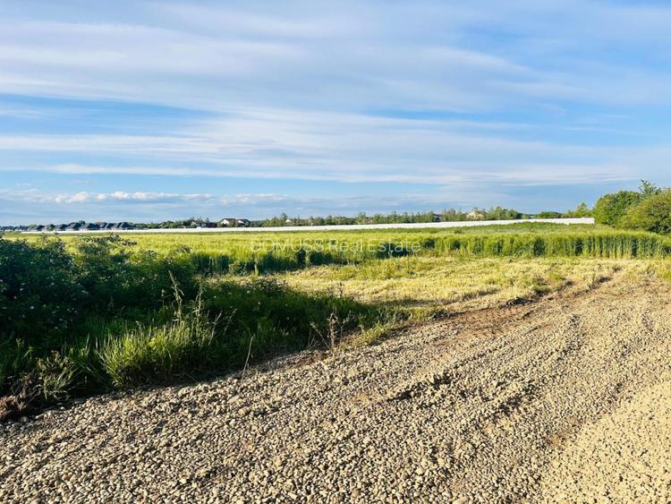 TEREN INTRAVILAN |  1000 mp | CORBEANCA | TAMASI | PADURE |  - 3