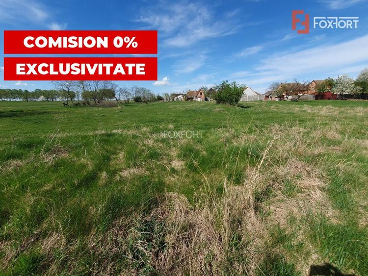 Comision 0% Teren intravilan 3000 mp in Padureni Jebel - 6