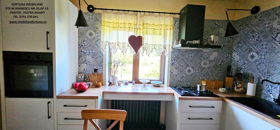Vila P+1+5600 mp teren, proprietate de 5 km de oras