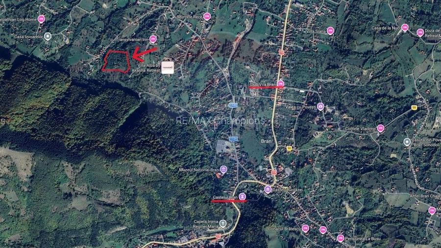 10.51 Euro + TVA / mp: Teren Bran Predelut, 24.253 mp, intravilan - 21