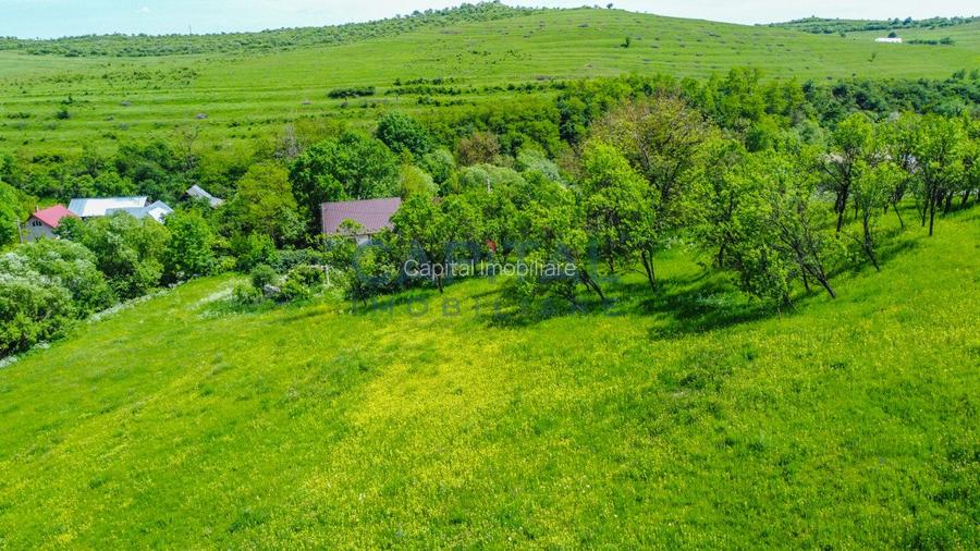 Teren intravilan Codor. Comision 0! - 9