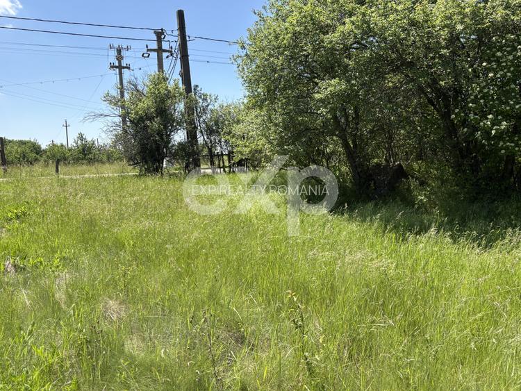 Teren 2.200 mp lângă pădure, la 11 km de Pitești – ideal pentru casă și relaxare - 3