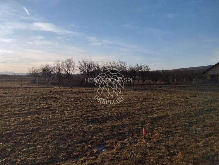 Teren 3500 mp-livada-Rusu Bargaului 13km de Bistrita - 2