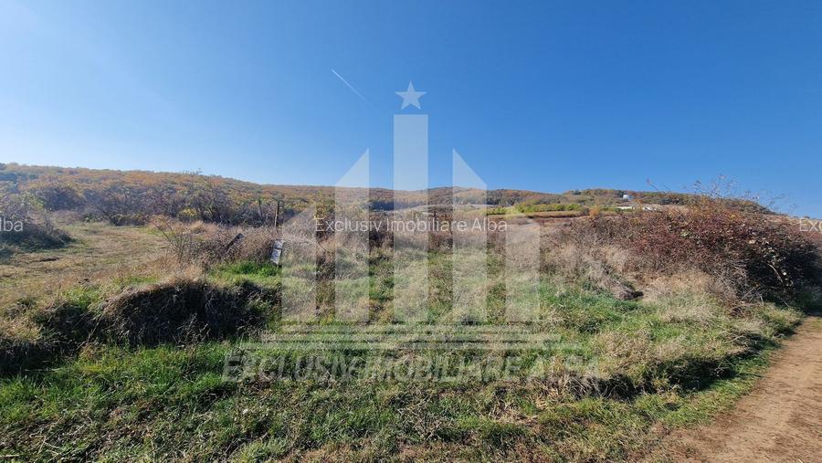 Teren intravilan | De vanzare | 3900 mp | 17 ml deschidere | Cetate - 2