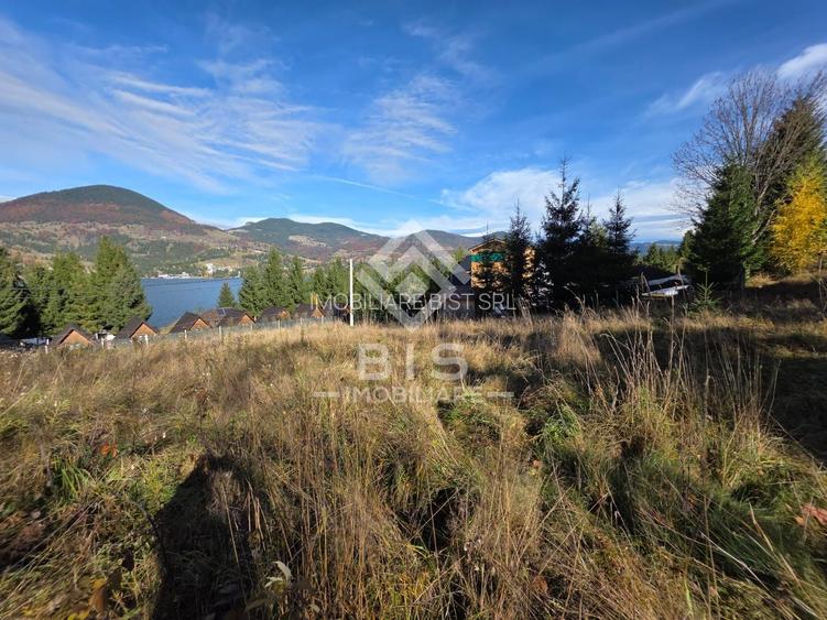 Teren de vanzare 12 ari - COLIBITA - 5