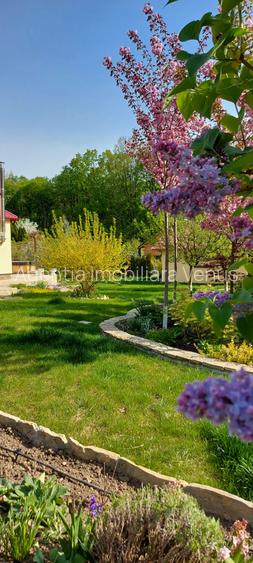 Proprietate deosebita in Agafton - 13