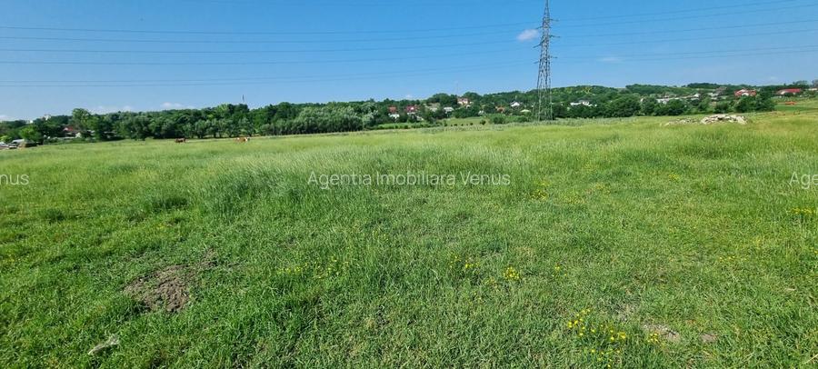 Teren intravilan in Rachiti - 3