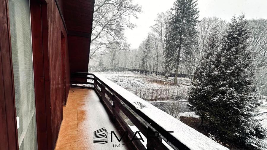 Casa de vacanta cu teren 2000mp Valea Avrigului - 4