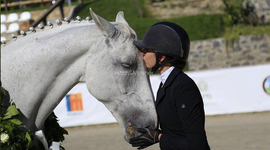 Domeniul Herneacova - 23