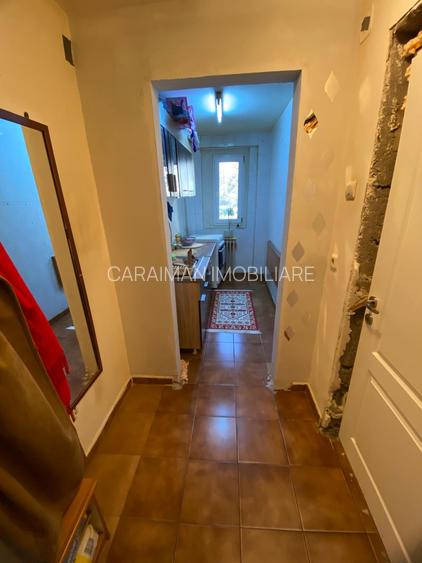 Lacul Tei x Teiul Doamnei - langa Facultatea de Constructii si Parcul Tei - 5