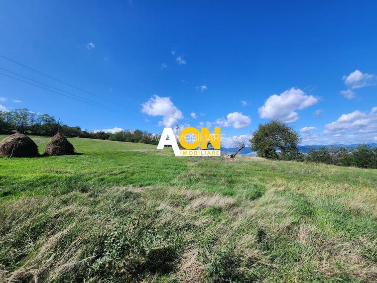 De vanzare 2965 mp teren intravilan, toate utilitatile, Oarda de Sus - 9