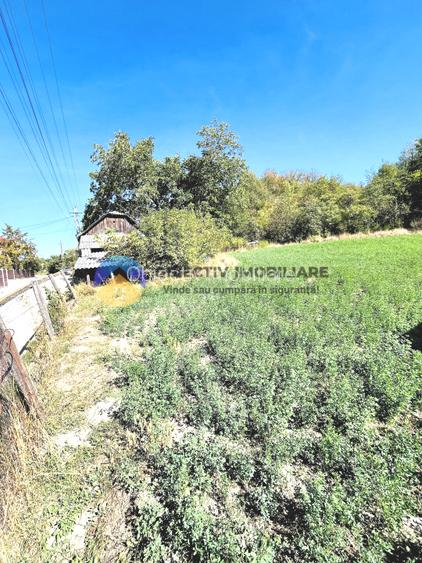 CASA + teren intravilan,  comuna BODESTI - 5