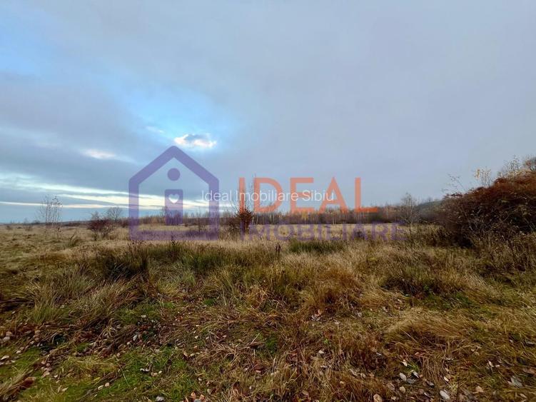 Teren extravilan 6.500 mp – două căi de acces, Cârțișoara - 6