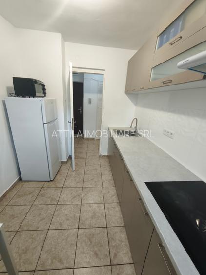 Vasile Lucaci 2 camere 480 euro - 7