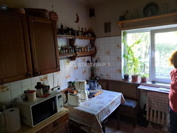 Cotroceni-Parcul Romniceanu, singur curte, garaj, curte generoasa - 16