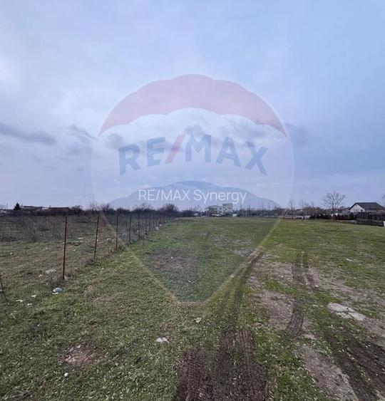 Investiție Sector 5: 2.819 mp | P+2 | Drumul Movila | Sub 100€/mp - 8
