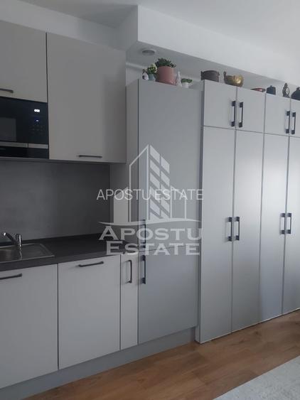 Studio in Remetea Mare - 5