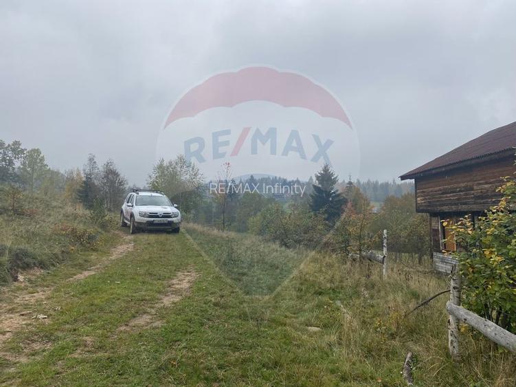 Teren de vanzare 8119 mp Calatele Padure.Muntii Apuseni - 20