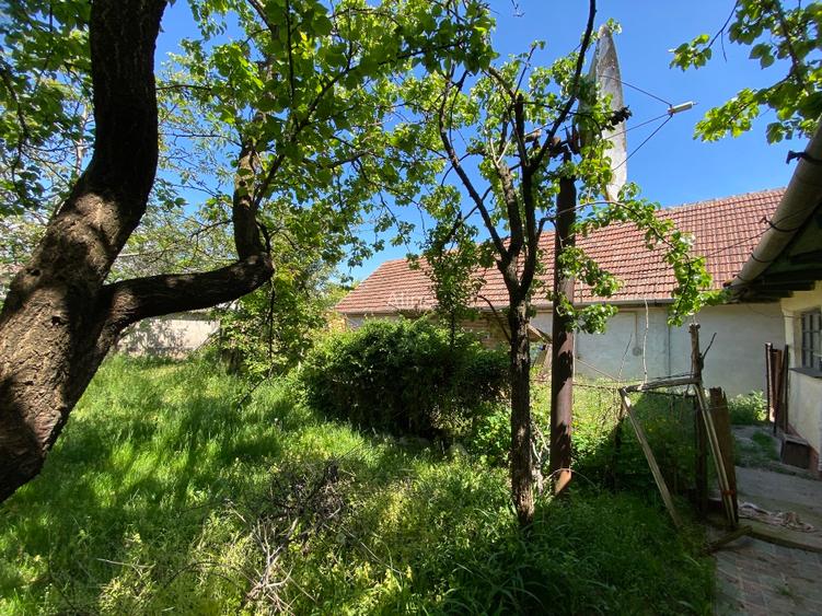 Casa de vânzare in Pecica Arad - 8