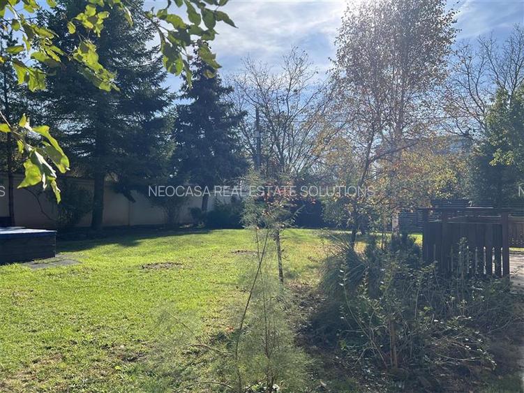 Vila la marginea padurii | curte superba | Iancu Nicolae - 21