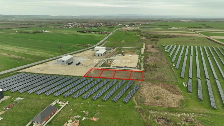 RECO , teren intravilan in Osorhei - 3