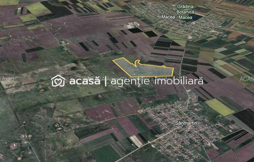 Teren 42 ha pentru parc fotovoltaic – Macea, Arad - 3