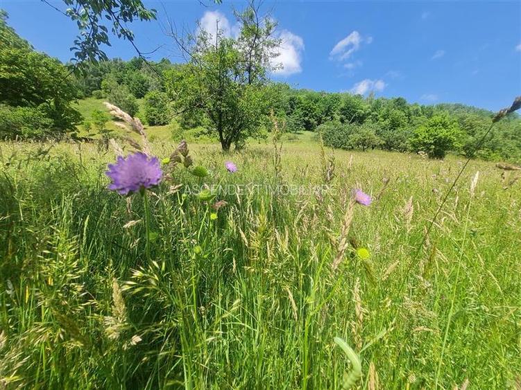 View superb:intravilan,constructie rezidenta/hotel,2.327 mp,Moieciu de Jos, Bran - 26