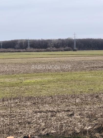 Teren Intravilan JILAVA - 2