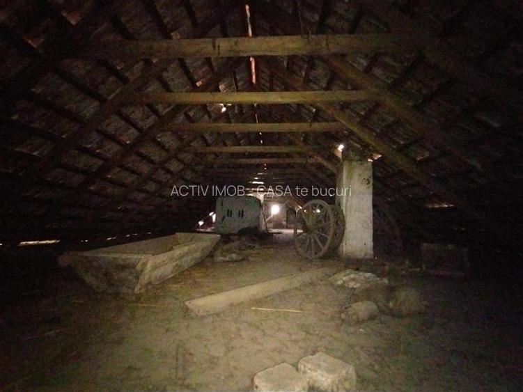 Iecea Mare - Timis, Casa cu Gradina, 1800mp Teren, Pret Negociabil - 8