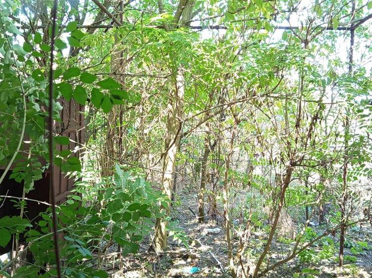 Iam, Casa 5 Camere, Gospodarie, 1439mp Teren, Pret Negociabil - 12