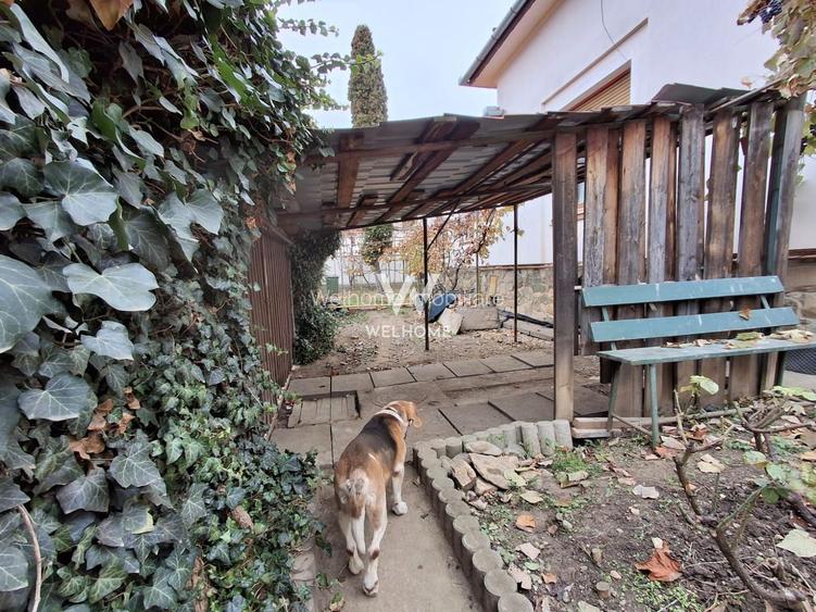 Casa de vanzare in Sibiu, birouri, clinica ,Parcul Sub Arini - 19