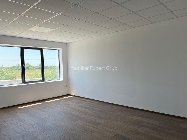 Spatiu depozitare si productie Soseaua de centrua Chitila - 19