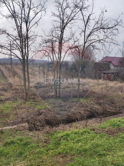 Teren 2.341 mp Uileacu de Munte front 26 ml la drum asfaltat - 6