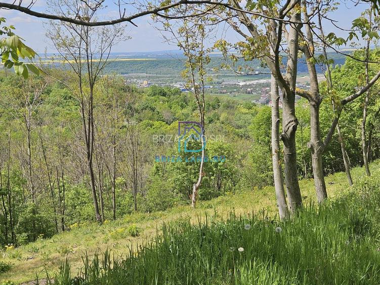 Prahova, orasul Boldesti-Scaeni, satul Seciu, teren 3007mp, d=36m - 7