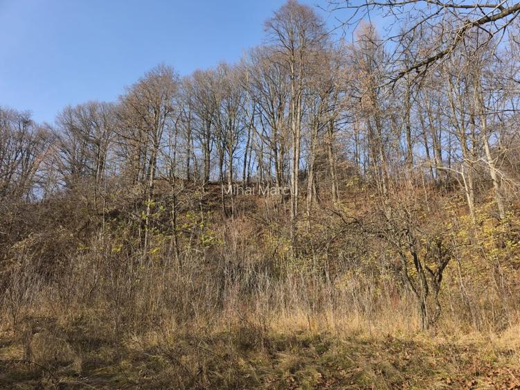 Teren intravilan Breaza 4,000mp utilitati. Panorama superba. Parcelabil - 3