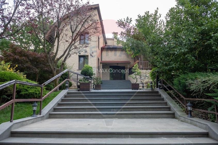 Vilă spectaculoasă de vânzare în Făget - 4